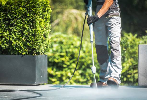 Best Sidewalk and Walkway Cleaning  in Greenvle, IL
